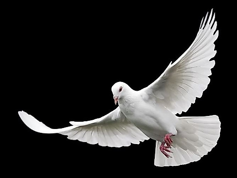 26-11-15 The Armed Man ©pixabay