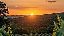 Georgische Weinreise