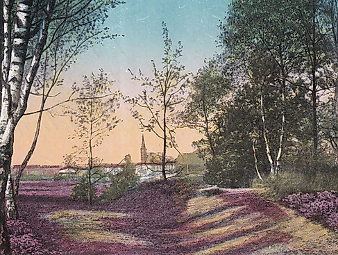 Mit August Freudenthal auf „Heidefahrt“ nach Soltau