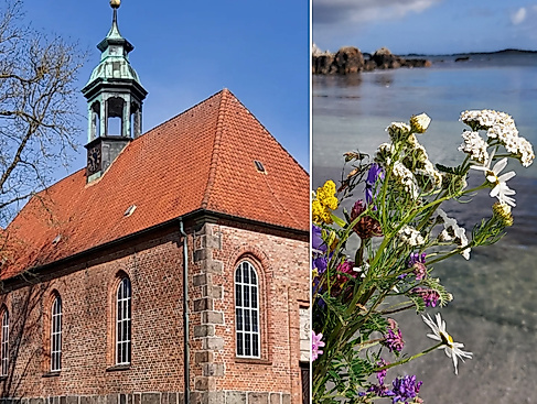 Außenansicht Schloßkirche - Blumen am Strand vor Wasser