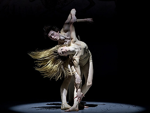 Im Aufschwung XVIII
                                - Das Bundesjugendballett John Neumeier