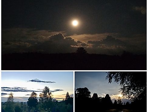 Vollmondwanderung in der Weseler Heide