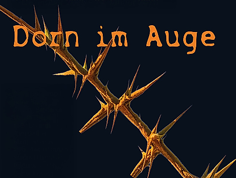 Dorn-im-Auge