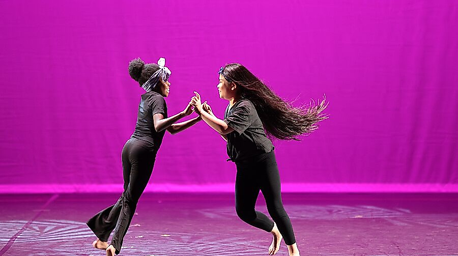 Vielfalt in Bewegung
                                - step by step – Tanzprojekte mit Hamburger Schulen