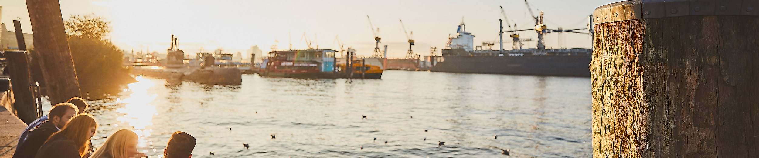 Person am Ufer des Hamburger Fischmarkts bei Sonnenuntergang, Möwe auf Poller und Blick auf den Hafen