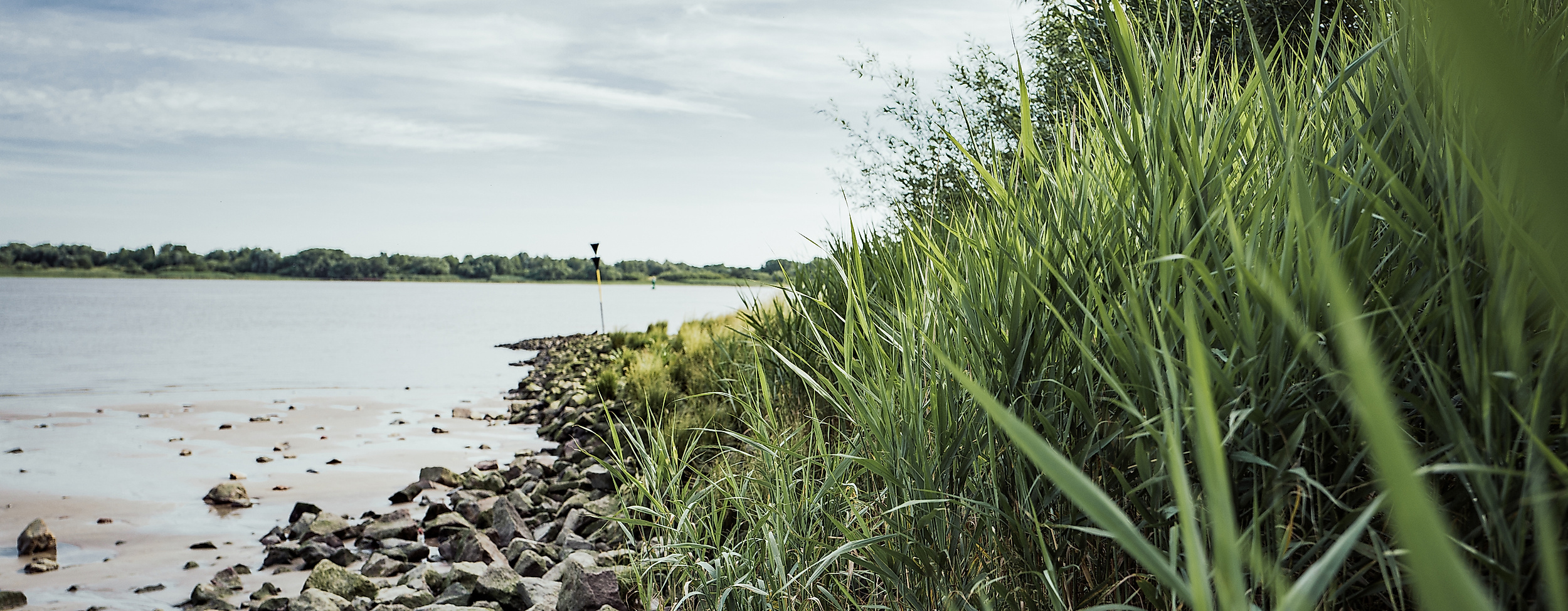 Elbstrand Wittenbergen