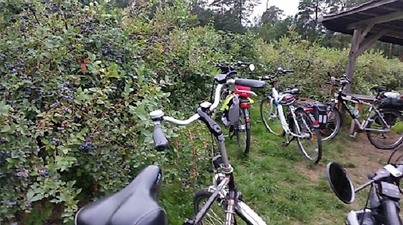 Geführte Fahrradtour mit der Urlaubsregion Ebstorf e.V.
