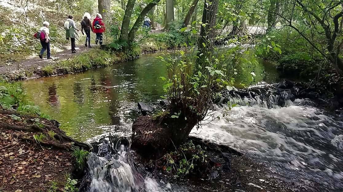 Langer Tag der StadtNatur - "Alles fließt" oder auch "Auf den Spuren der Eiszeiten"