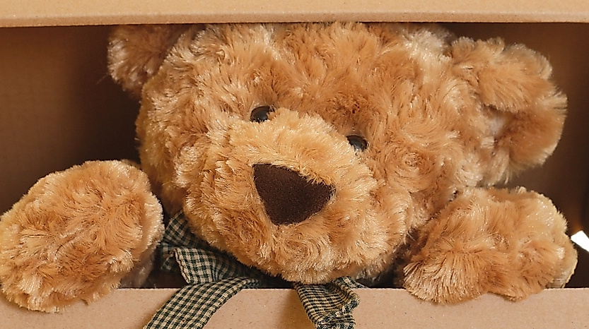 Teddybär+Schachtel