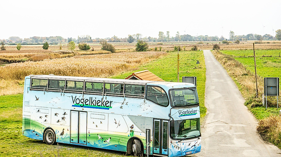 Vogelkieker März - Oktober