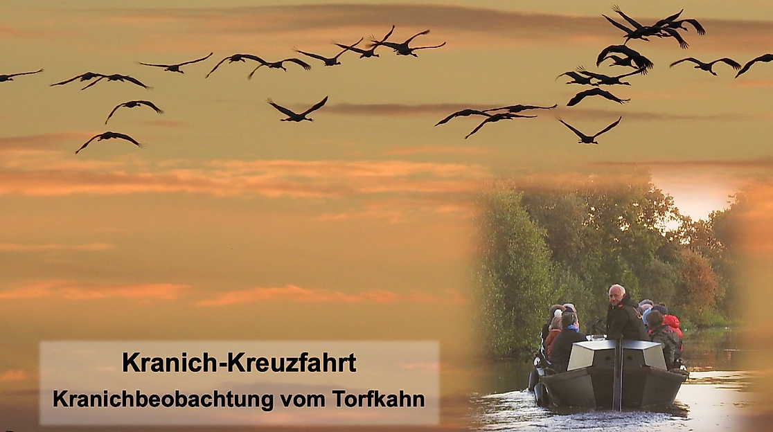 Kranich-Kreuzfahrt im Teufelsmoor