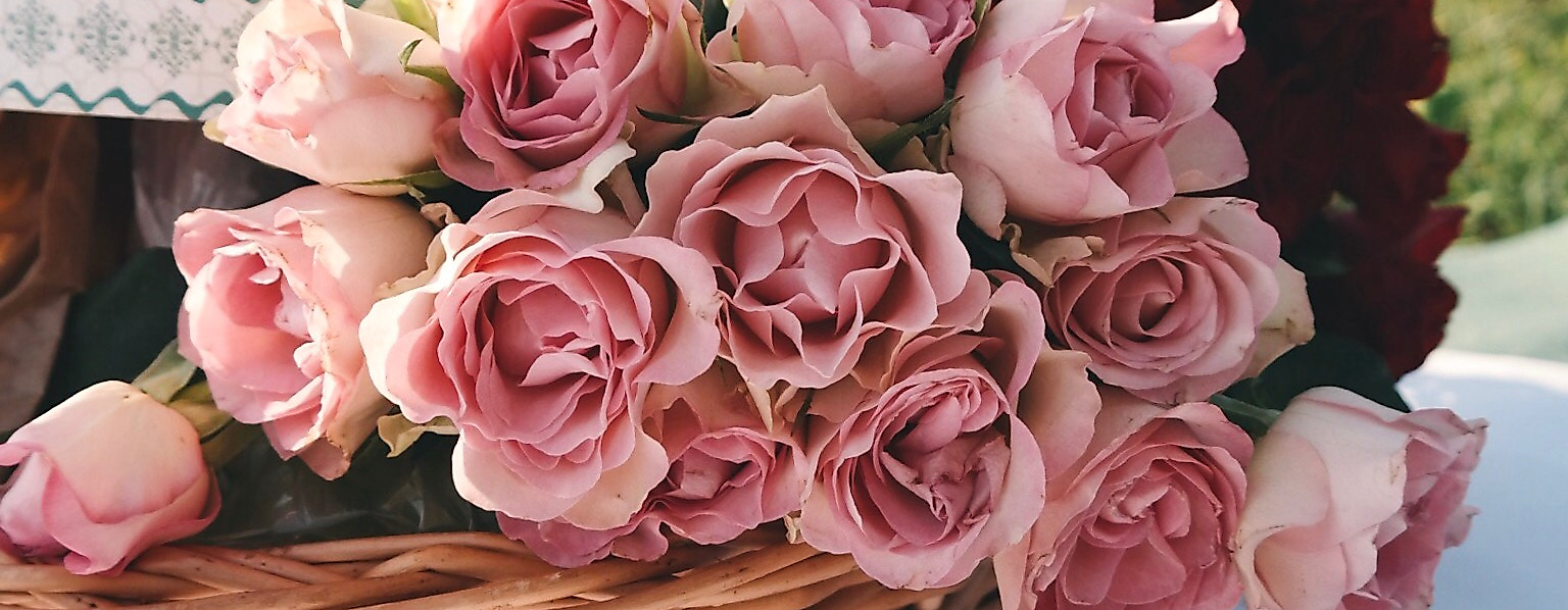 romantische-rosen_c-unsplash-brigitte-tohm