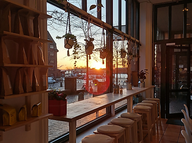 The Special Connection