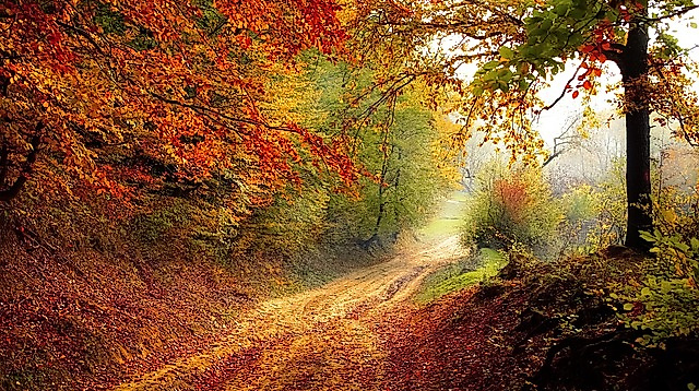 Herbst