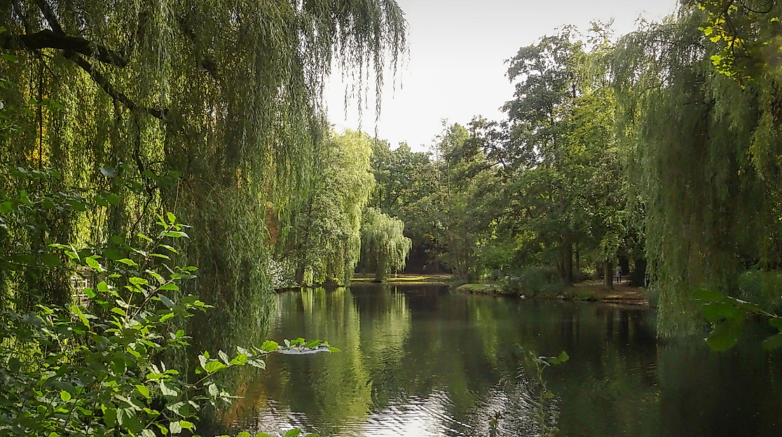 Eimsbütteler Park am Weiher