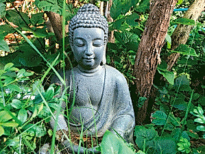 Yoga am Morgen in Cismar