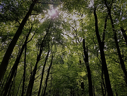 20200501_140237_klein