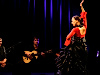 Flamenco Puro