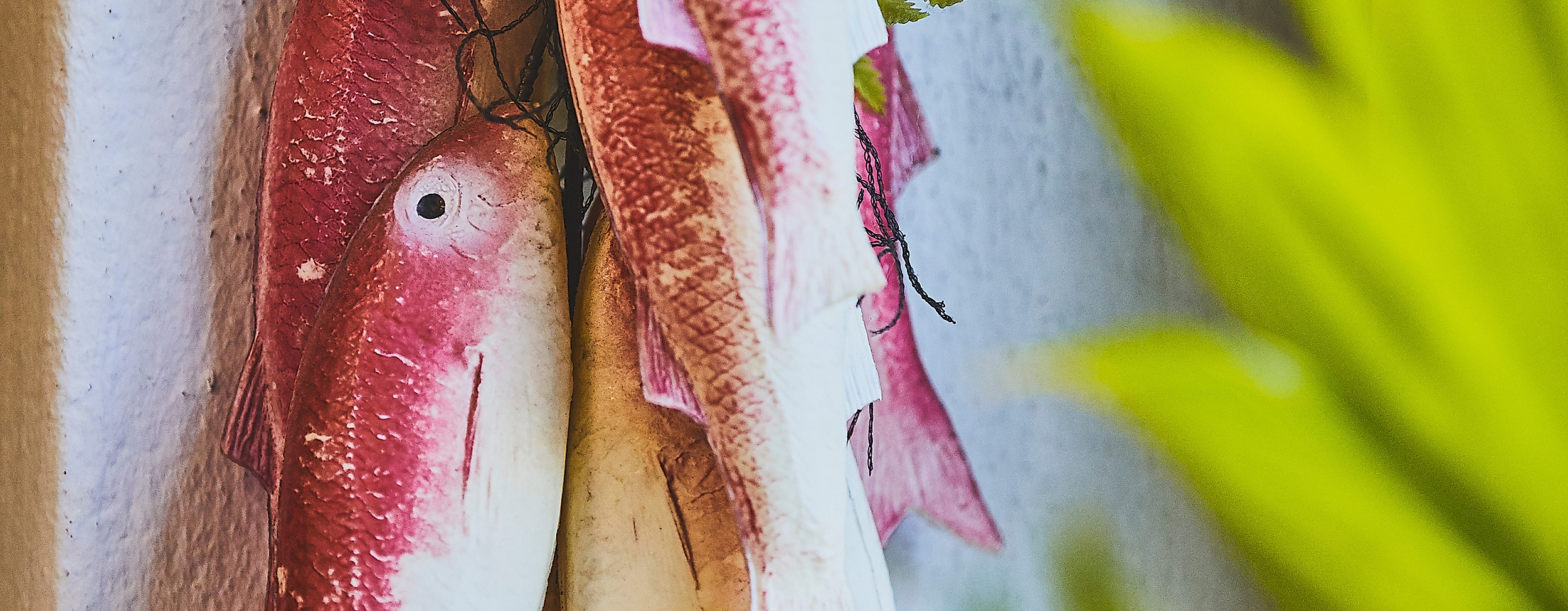 goedekens-kombuese_c-2018-thisisjulia-photography-3