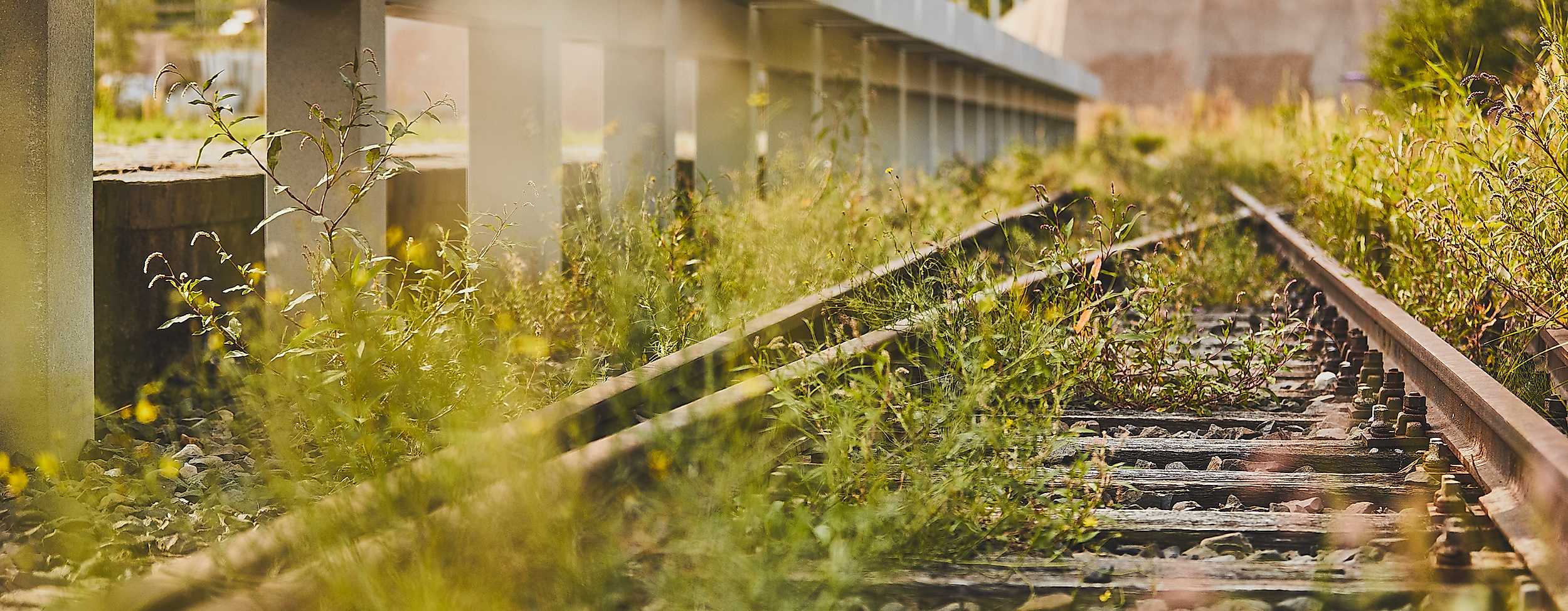 hannoverscher_bahnhof_c-2018-thisisjulia-photography-10
