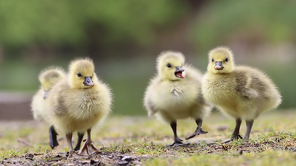 termin_07.05.26_IMG_1231