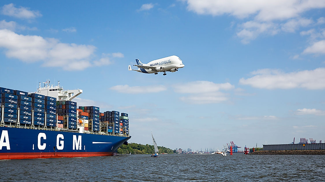 Beluga über der Elbe in Hamburg 