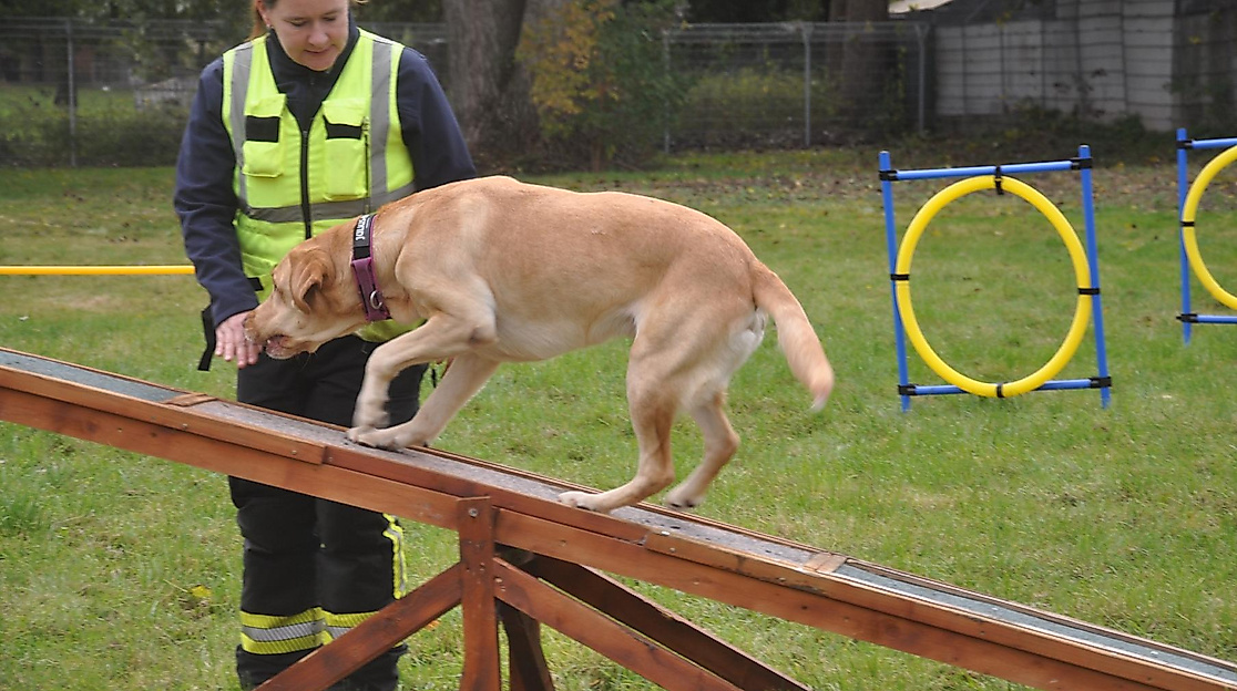rettungshundestaffel