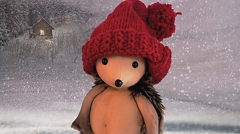 Der kleine Igel und die rote Mütze