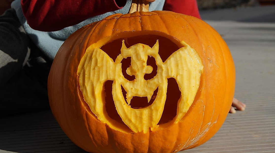 Kürbis Halloween