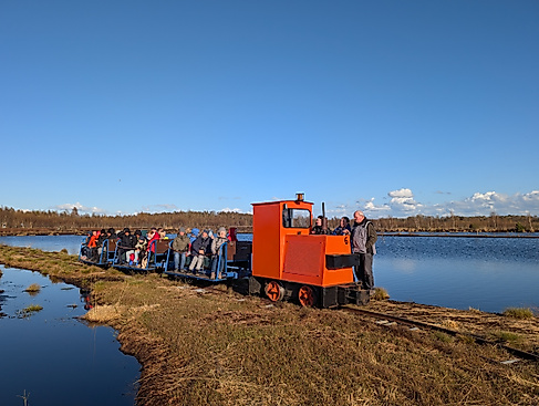 Torfbahn im Moor