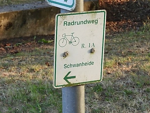 Der vergessene Radweg R1A