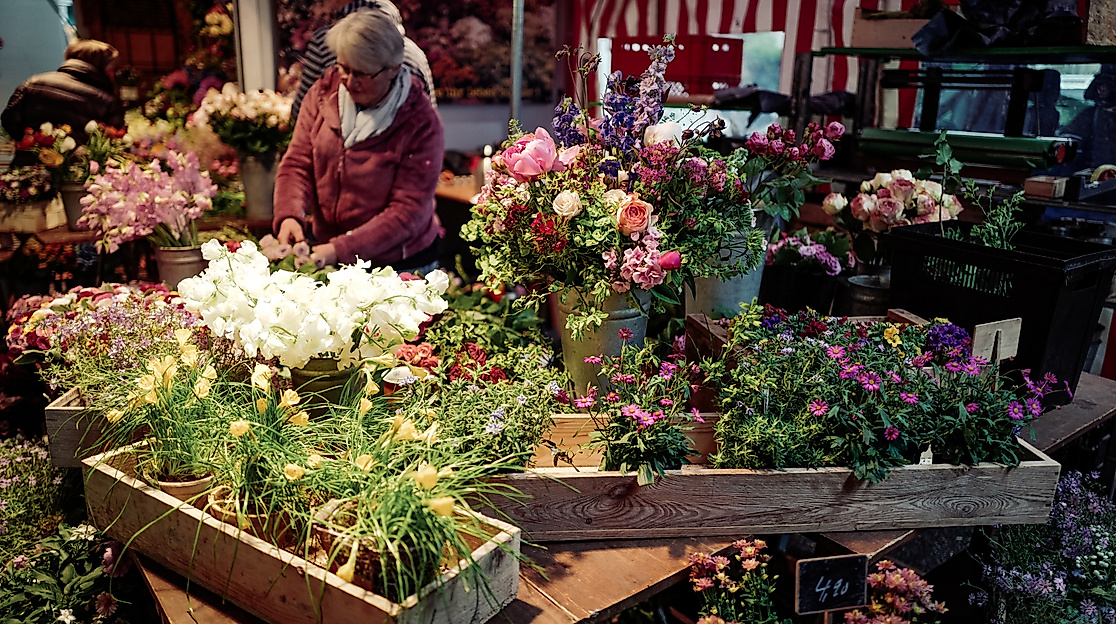 Farmer's market hamburg