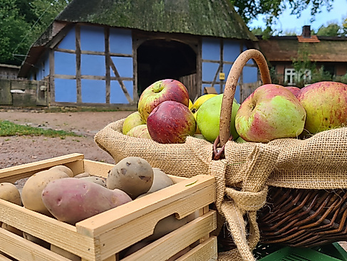 "Apfel- und Kartoffeltag" im Freilichtmuseum am Kiekeberg