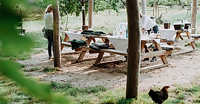Waldfondue Hamburg