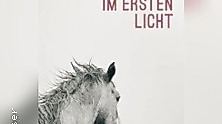 Norbert Gstrein: Im ersten Licht