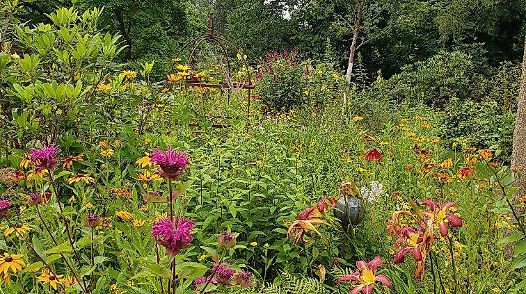 Pflanzenpracht im Garten Wilhelm