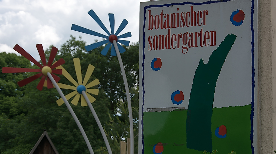 Logo Botanischer Sondergarten und IGA Blume