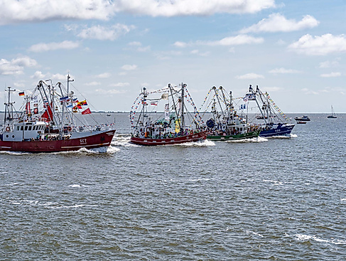 119. Büsumer Kutterregatta