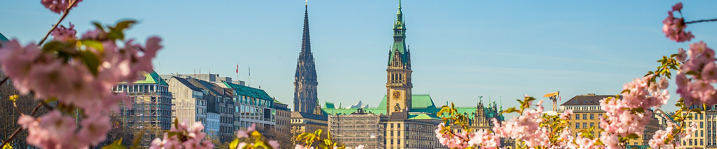 Blick auf das Hamburger Rathaus über die Binnenalster