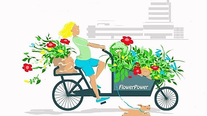 26-09-20 Pflanzenflohmarkt Stadt Ahrensburg