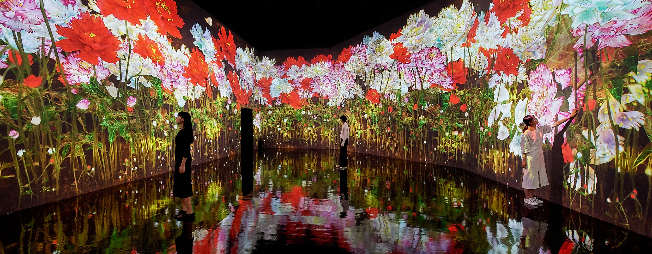 digital-art-museum_proliferating-immense-life-a-whole-year-per-year_c-2021_teamlab