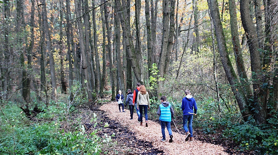 wanderung_durch_den_sunder_wald