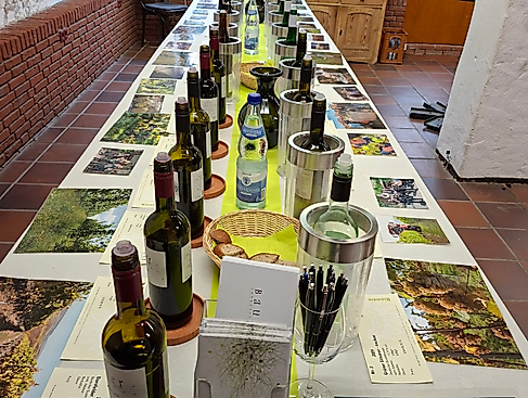 BIO-Weinprobe Weingut Achim Bauer Barmstedt 2026