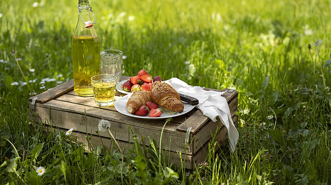 Frühstück & Waldglück
