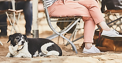 Hund liegt im Sand am Elbstrand neben einer sitzenden Person im Strandcafé