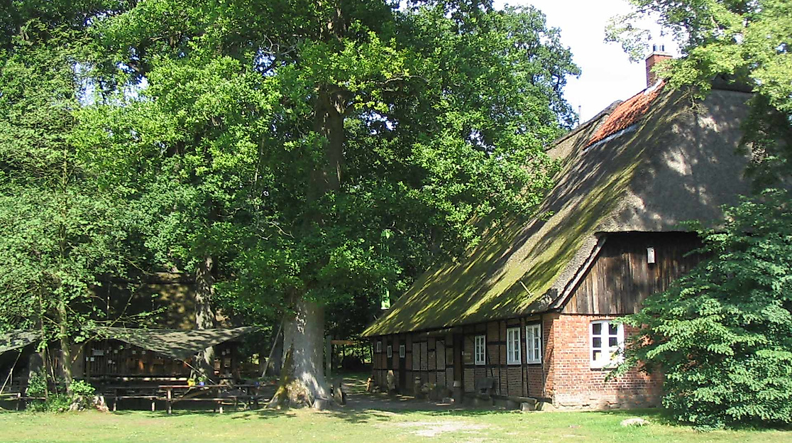 Mit dem "Löwen der Heide" auf Entdeckungsreise