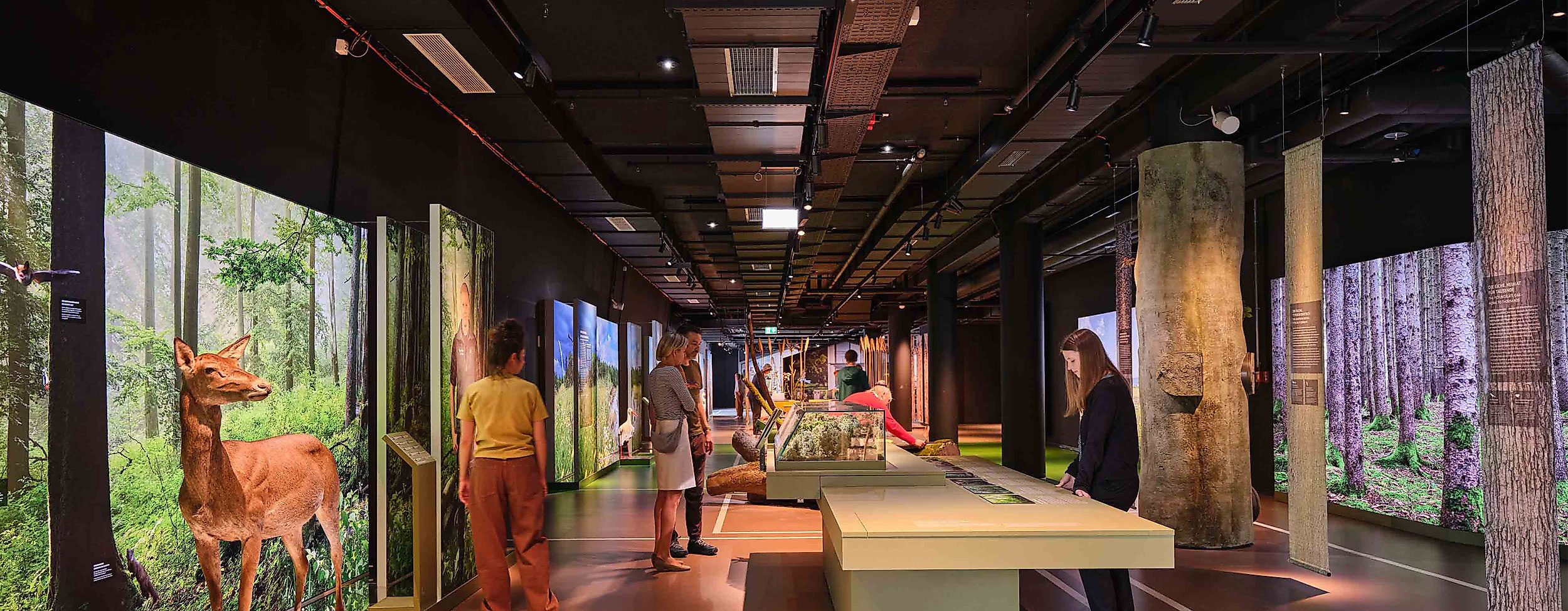 poi-botschaftderwildtiere-deutsch-wildtier-stiftung_00033_christian_brandes-web-2500x1500