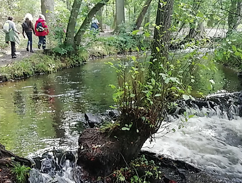 Langer Tag der StadtNatur - "Alles fließt" oder auch "Auf den Spuren der Eiszeiten"