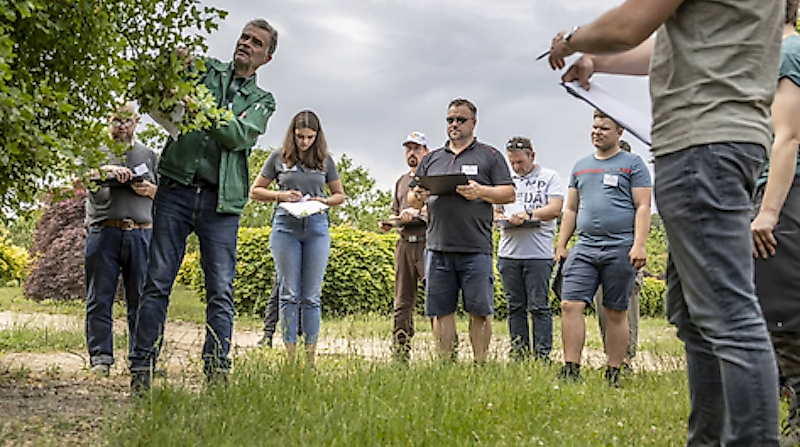 garten-von-ehren_klimabaumsafari_exkursion