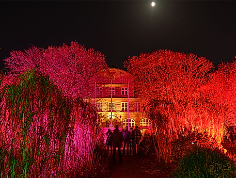 Lichterwochenenden: Halloween Lights Büsum